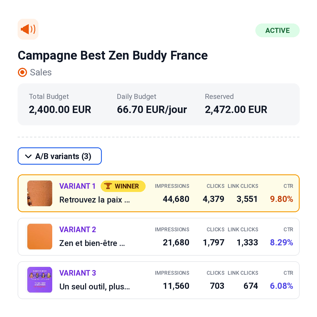 Résultats de la campagne publicitaire BestZenBuddy en France et comparaison de trois variantes