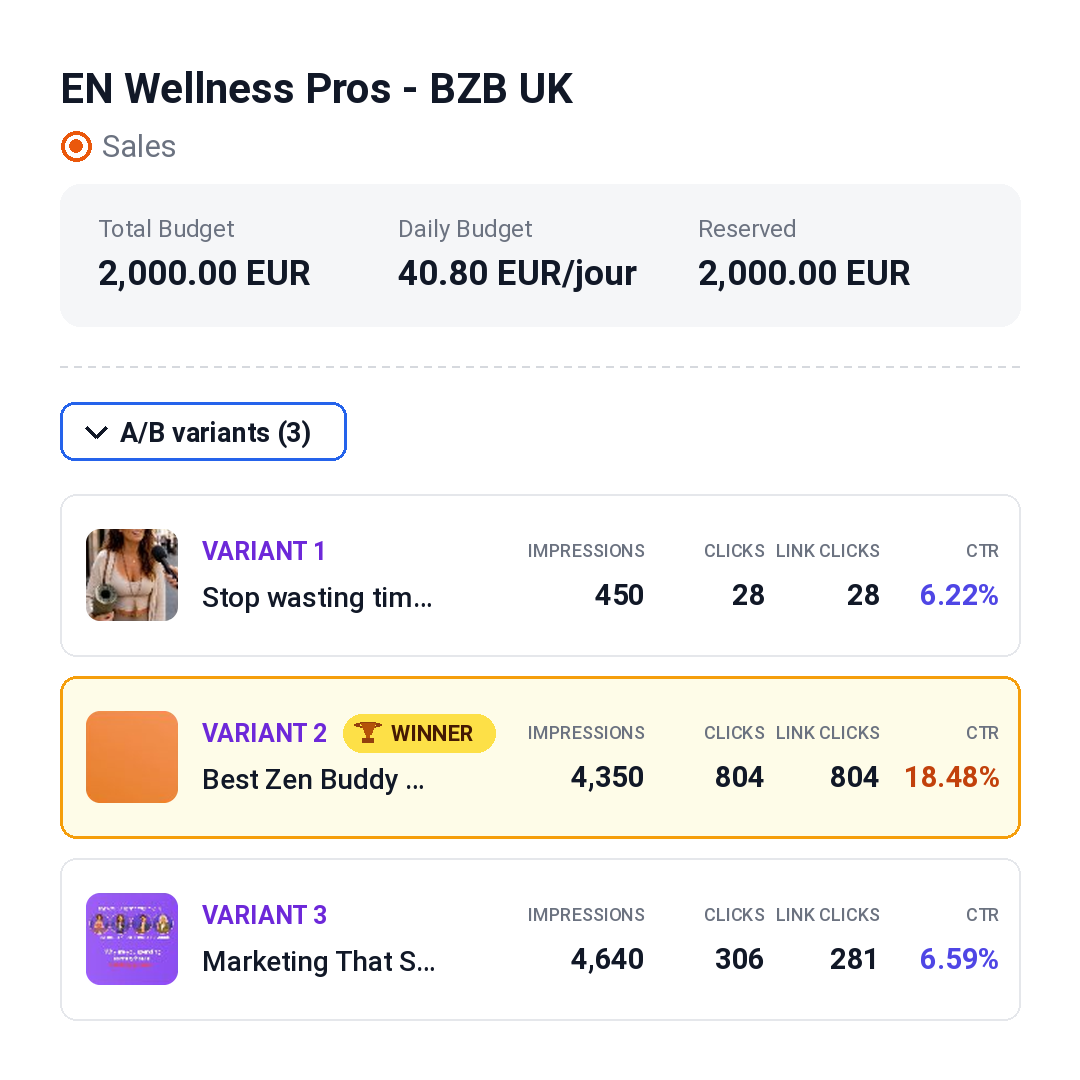 Résultats de la campagne publicitaire BestZenBuddy au Royaume-Uni et comparaison de trois variantes